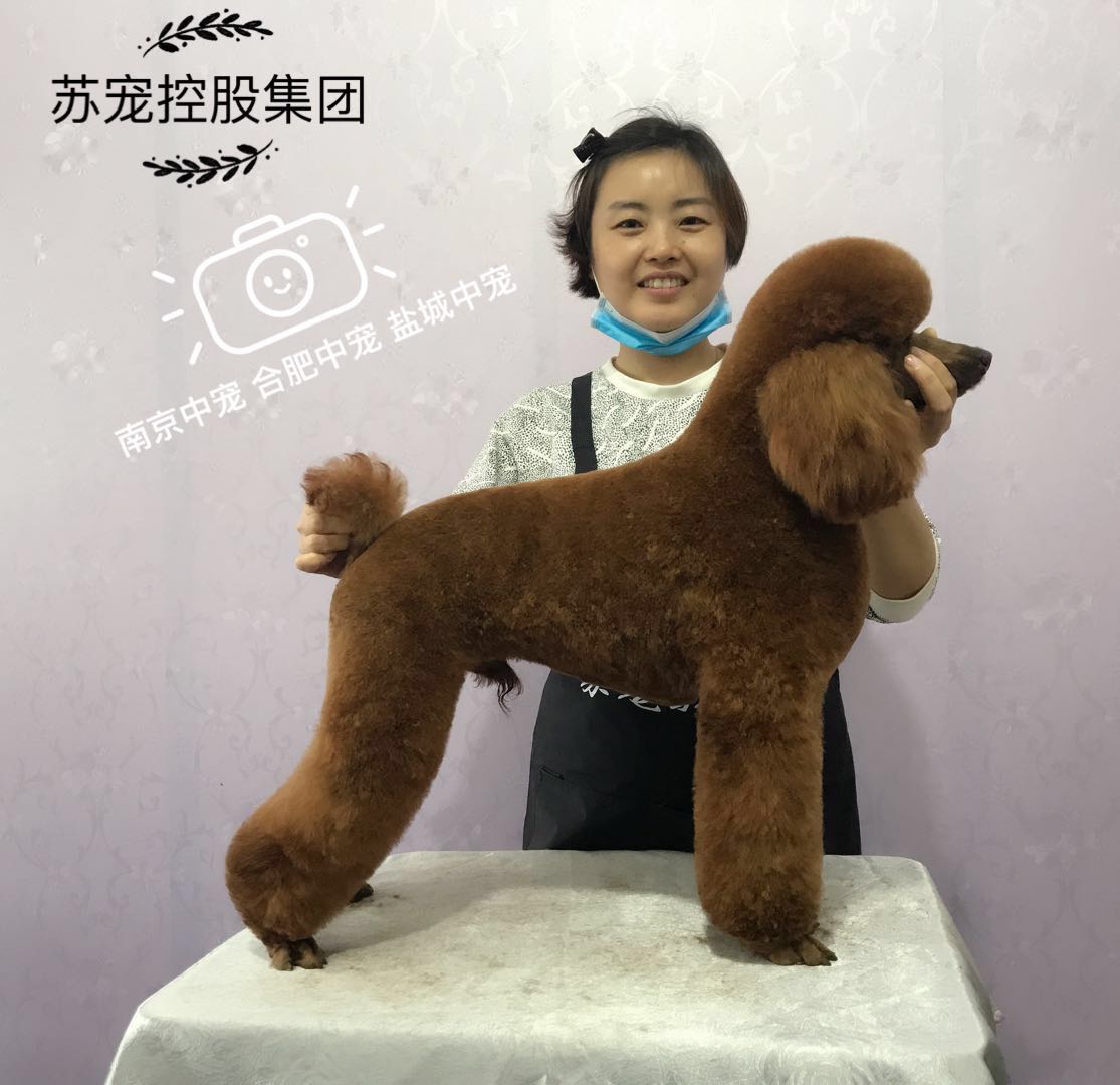 C:\Users\Xingchen\Desktop\微信图片_20171018194801.jpg